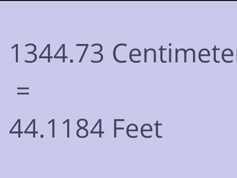 1344.73 CM TO FEET