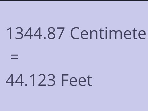 1344.87 CM TO FEET