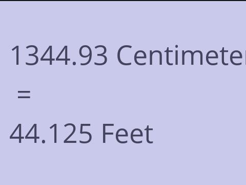 1344.93 CM TO FEET