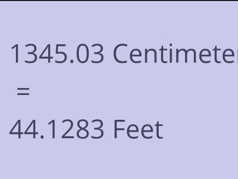 1345.03 CM TO FEET