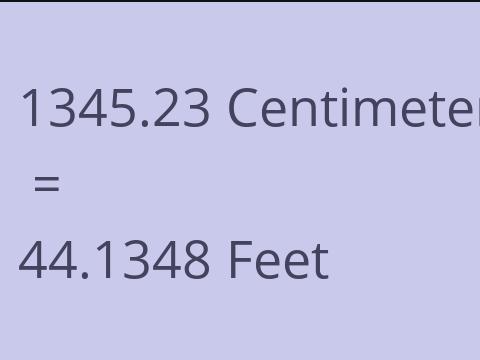 1345.23 CM TO FEET