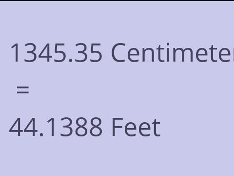 1345.35 CM TO FEET