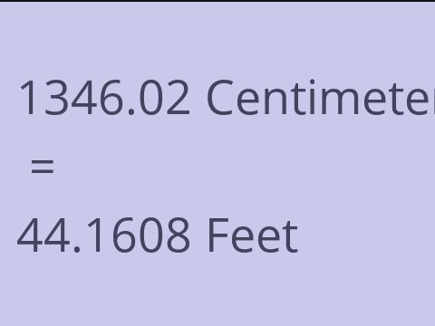 1346.02 CM TO FEET