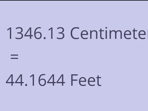 1346.13 CM TO FEET