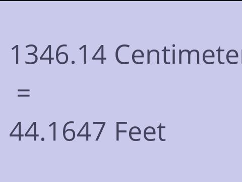 1346.14 CM TO FEET