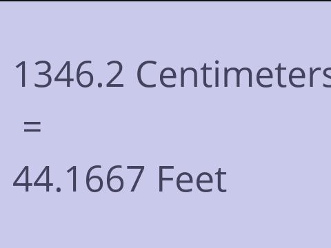 1346.2 CM TO FEET