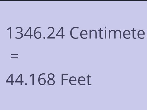 1346.24 CM TO FEET