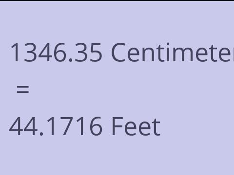 1346.35 CM TO FEET