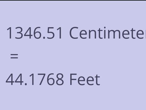 1346.51 CM TO FEET