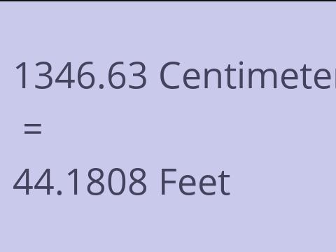 1346.63 CM TO FEET