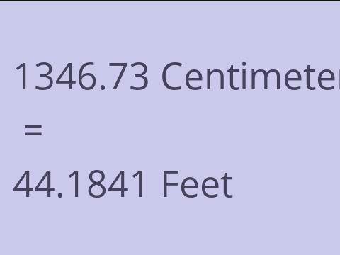 1346.73 CM TO FEET