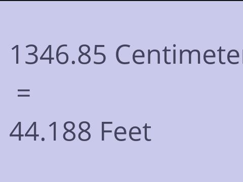 1346.85 CM TO FEET