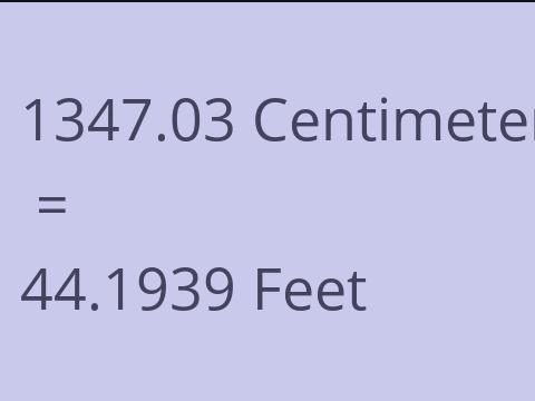 1347.03 CM TO FEET