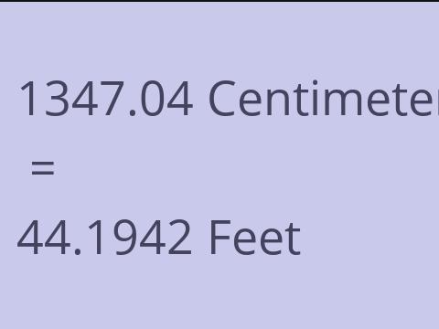 1347.04 CM TO FEET