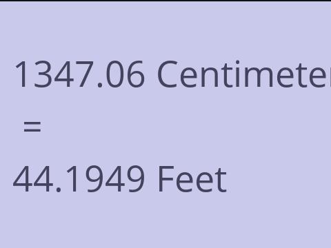 1347.06 CM TO FEET