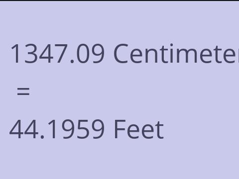 1347.09 CM TO FEET