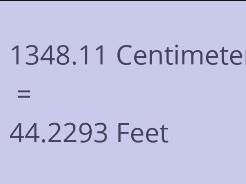 1348.11 CM TO FEET