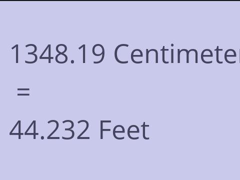 1348.19 CM TO FEET