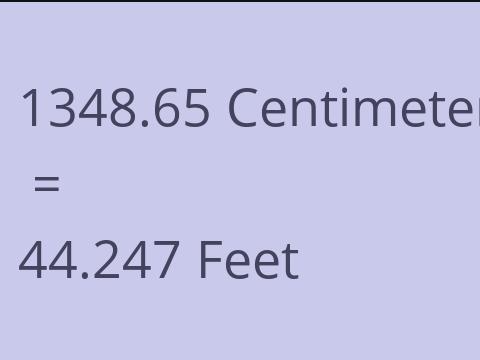 1348.65 CM TO FEET