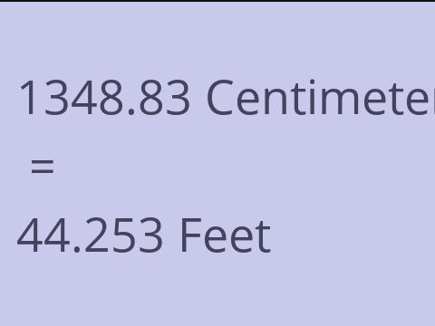 1348.83 CM TO FEET