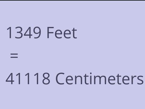 1349 FEET TO CM