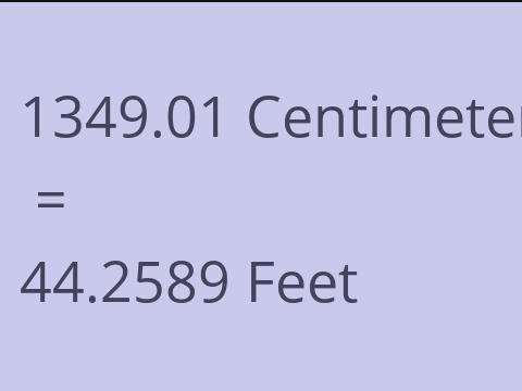 1349.01 CM TO FEET