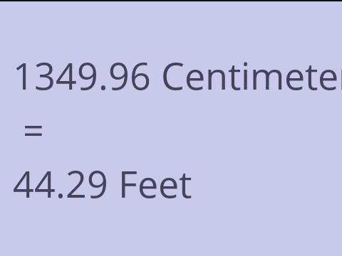 1349.96 CM TO FEET