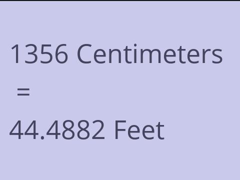 1356 CM TO FEET