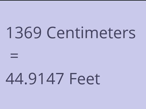 1369 CM TO FEET