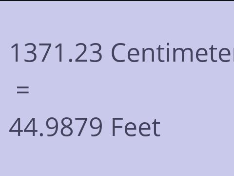 1371.23 CM TO FEET