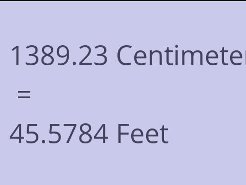 1389.23 CM TO FEET