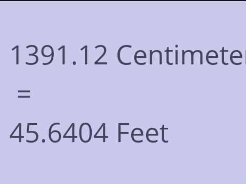 1391.12 CM TO FEET