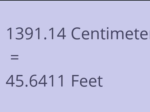 1391.14 CM TO FEET