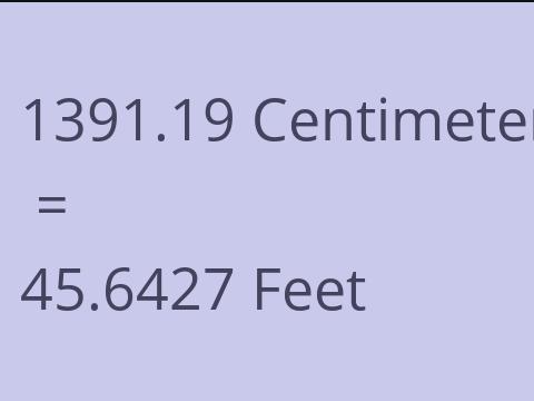 1391.19 CM TO FEET