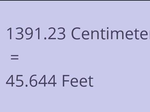 1391.23 CM TO FEET