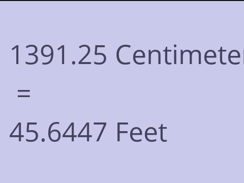 1391.25 CM TO FEET