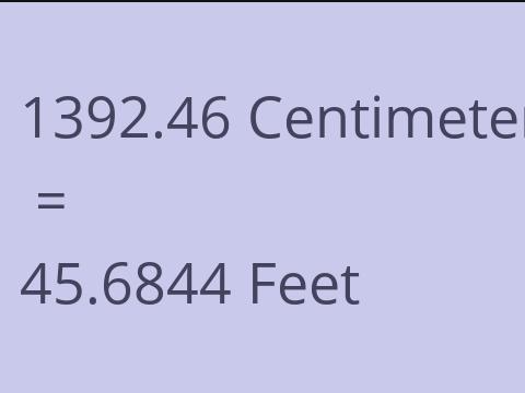 1392.46 CM TO FEET