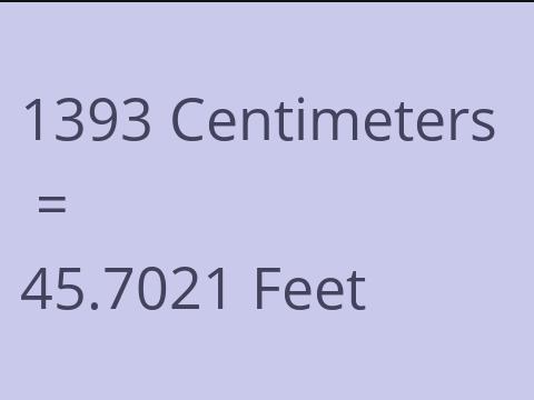 1393 CM TO FEET