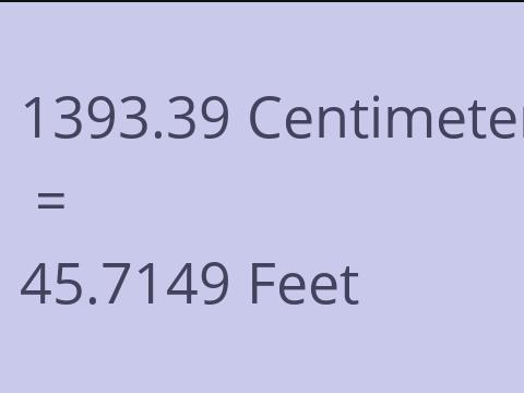 1393.39 CM TO FEET