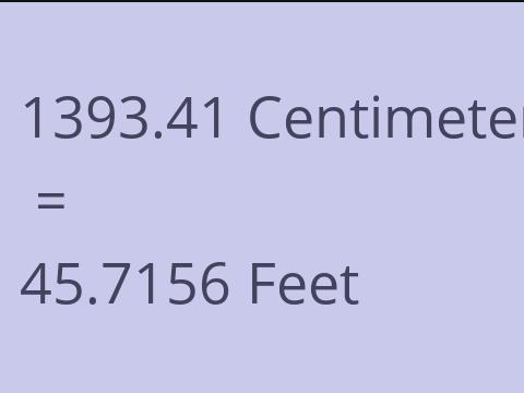 1393.41 CM TO FEET