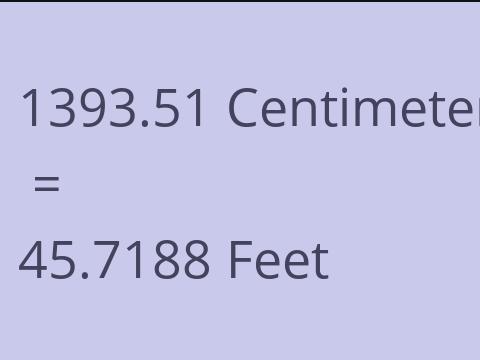 1393.51 CM TO FEET