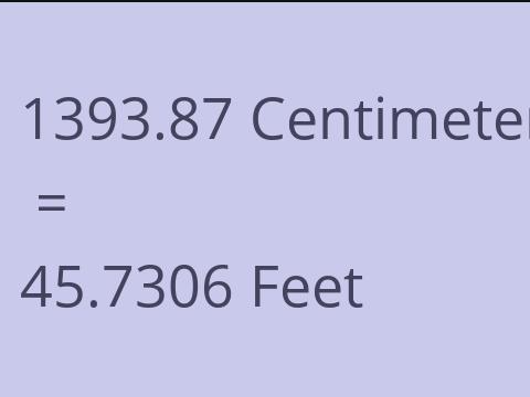 1393.87 CM TO FEET