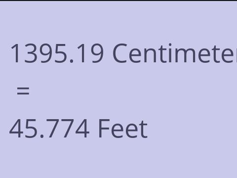 1395.19 CM TO FEET