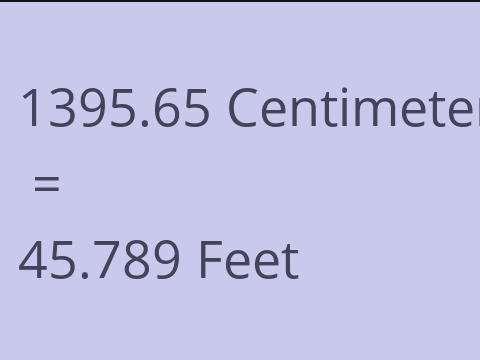 1395.65 CM TO FEET