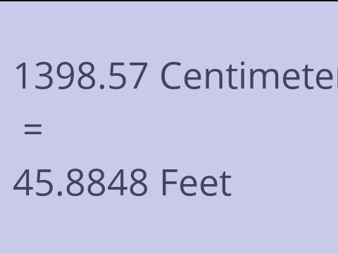 1398.57 CM TO FEET