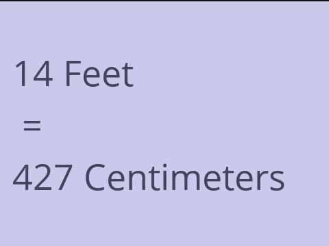 14 FEET TO CM