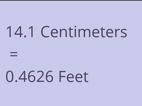 14.1 CM TO FEET