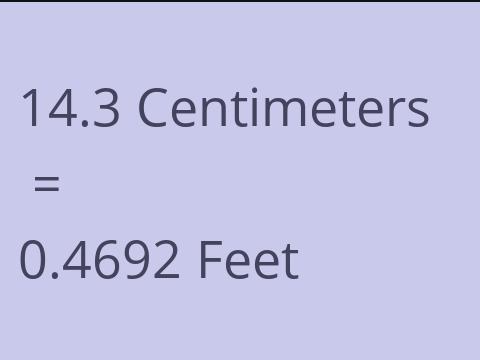 14.3 CM TO FEET