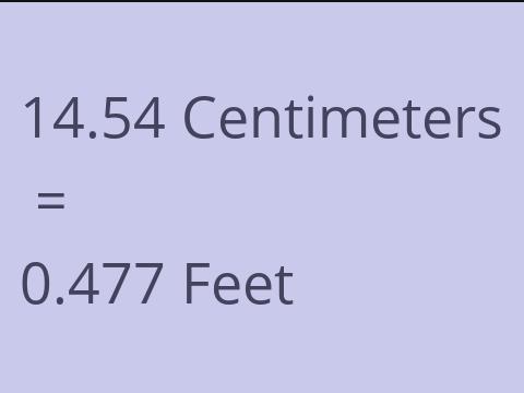 14.54 CM TO FEET