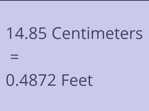 14.85 CM TO FEET